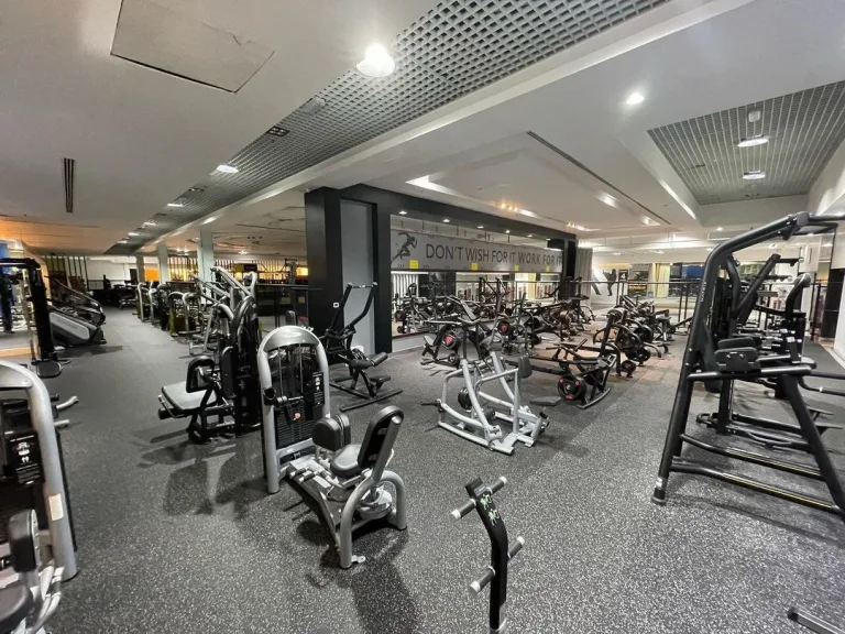 Scanner corporel 3D DISMAC X Visbody (1)