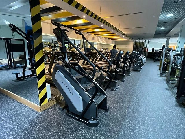 Scanner corporel 3D DISMAC X Visbody (2)